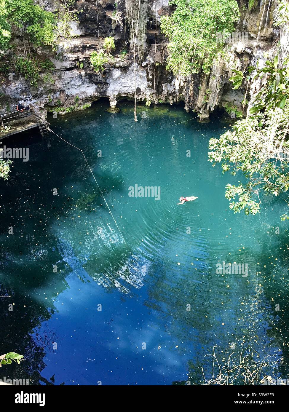 Person swimming in Mexican cenote Stock Photo