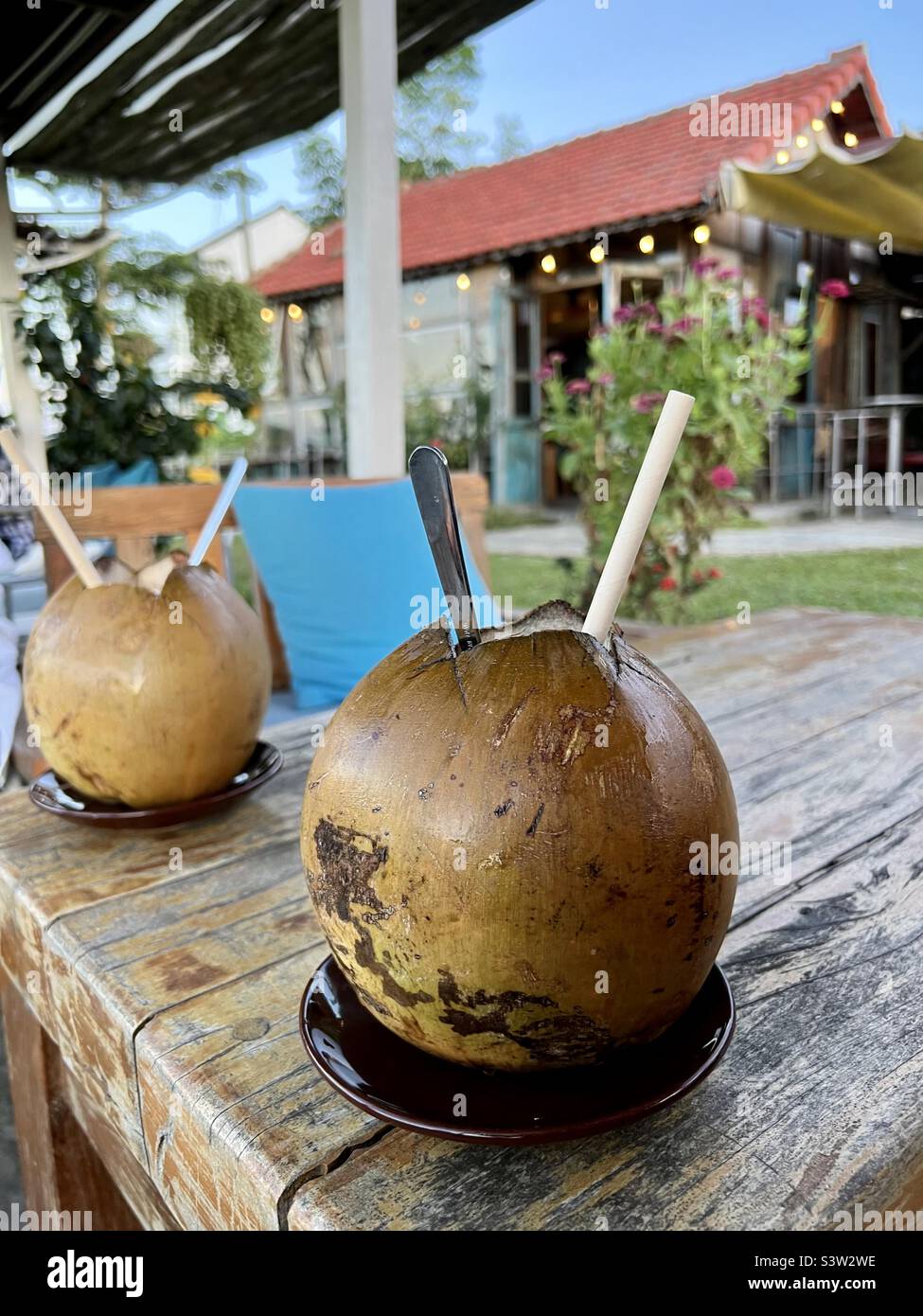 Coconut drinks on holiday Stock Photo Alamy