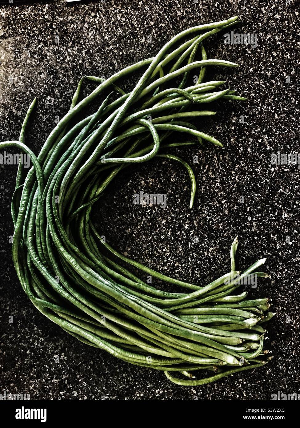 Long green beans Stock Photo