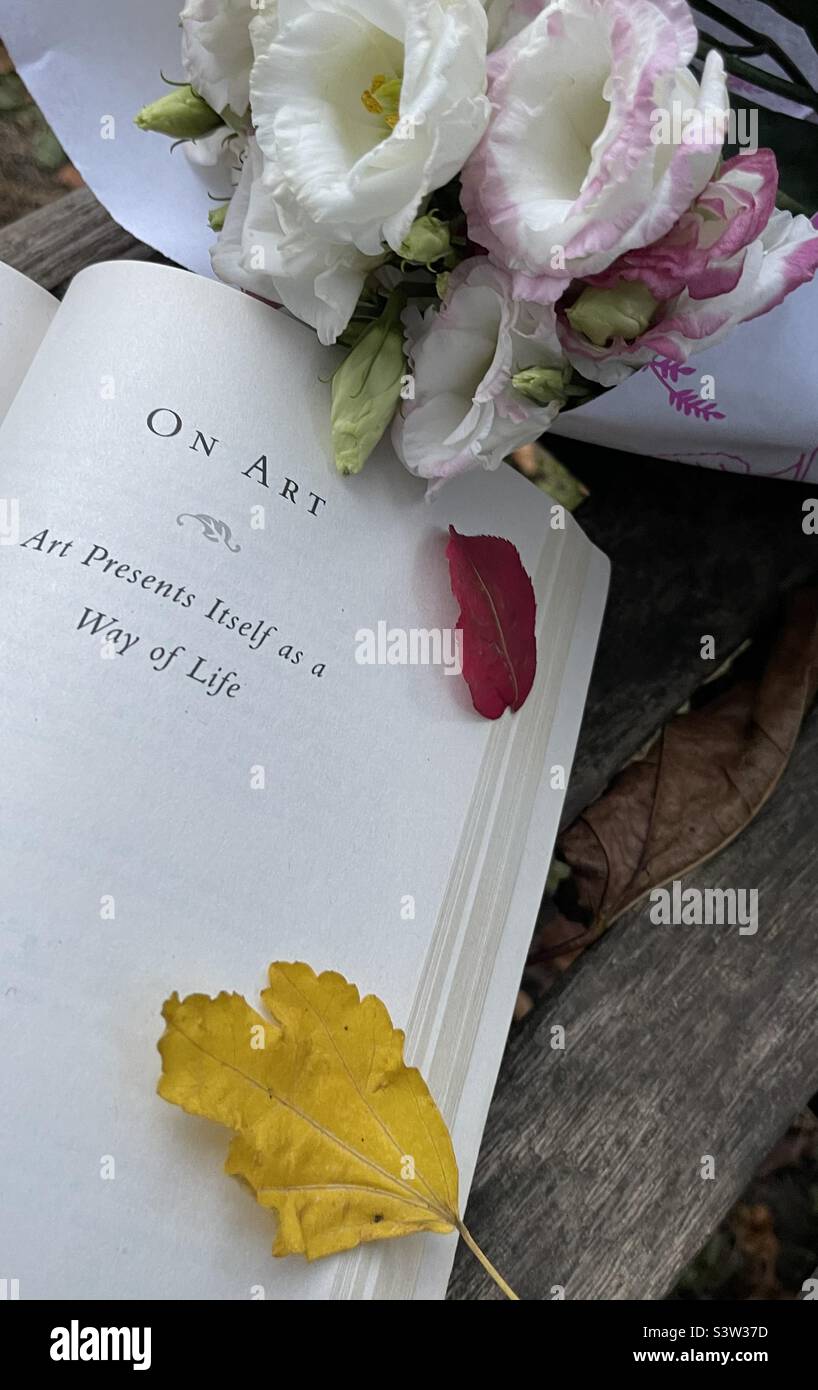 Poetic Interlude - Smartphone Captured Stock Image