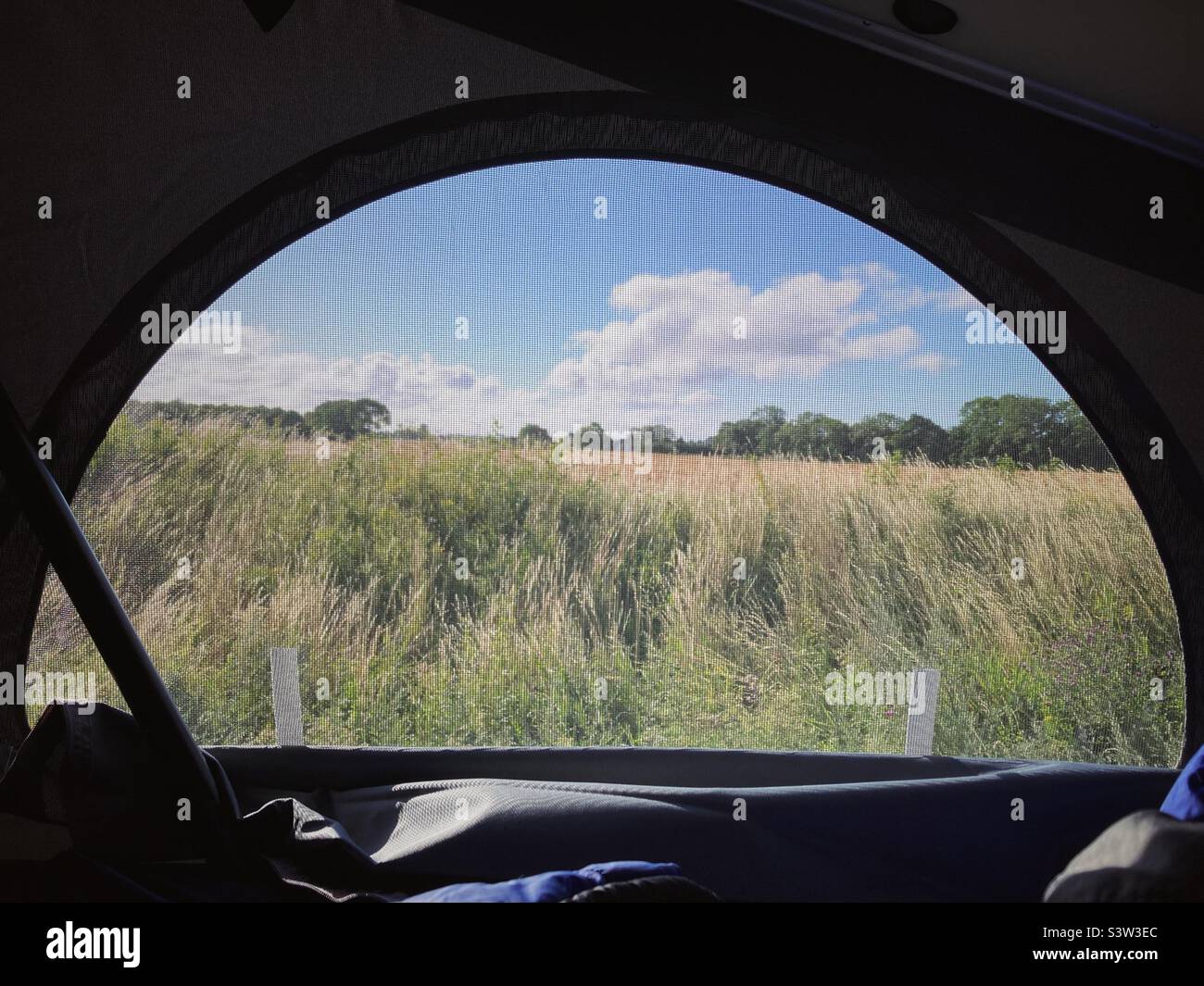 View on a meadow with Long Grass from the side window of a pop-top of a camper van in Denmark in summer Stock Photo