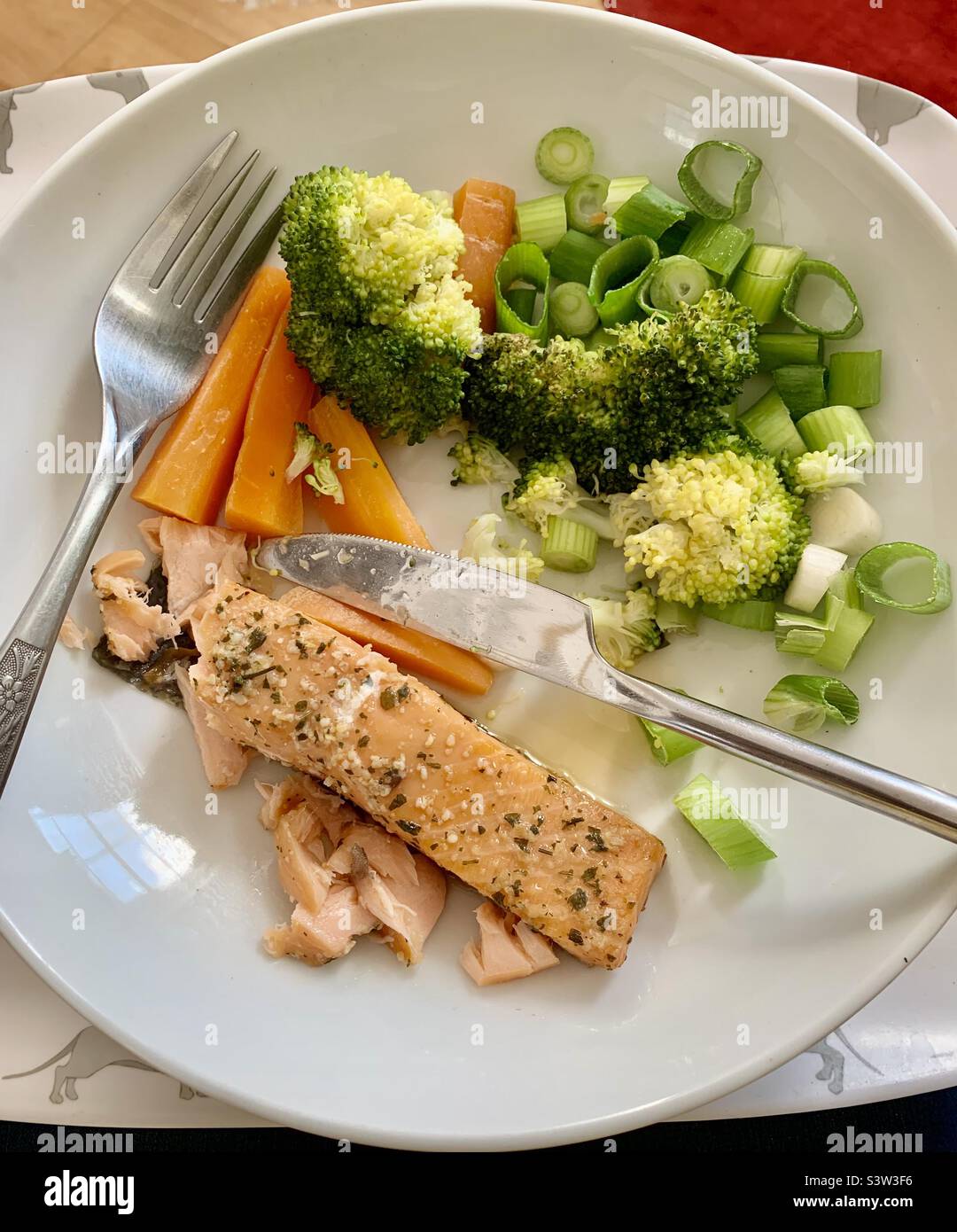 Salmon,broccoli, carrots and chopped spring onions on a white dish. - Smartphone Captured Stock Image