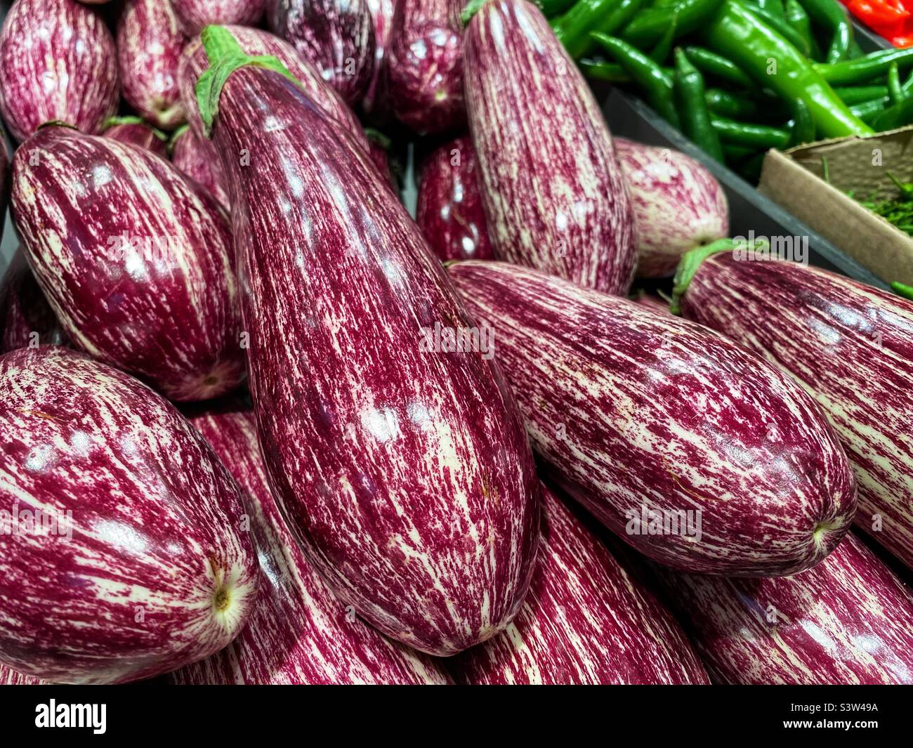 Purple striped Aubergines Stock Photo Alamy