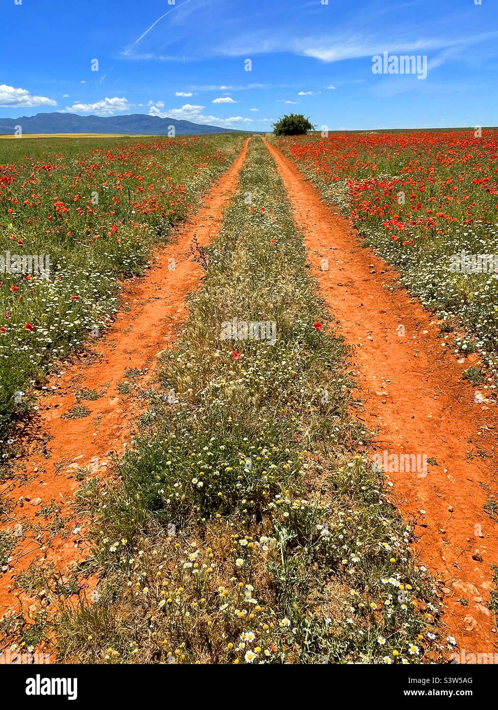 Way. - Smartphone Captured Stock Image
