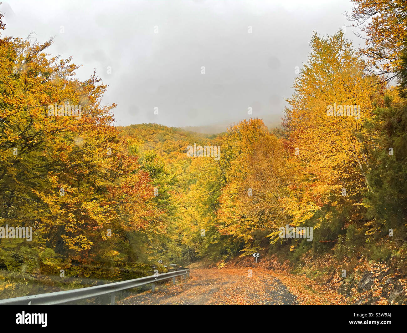 Autumn landscape. Riofrio de Riaza, Segovia province, Castilla Leon, Spain. - Smartphone Captured Stock Image