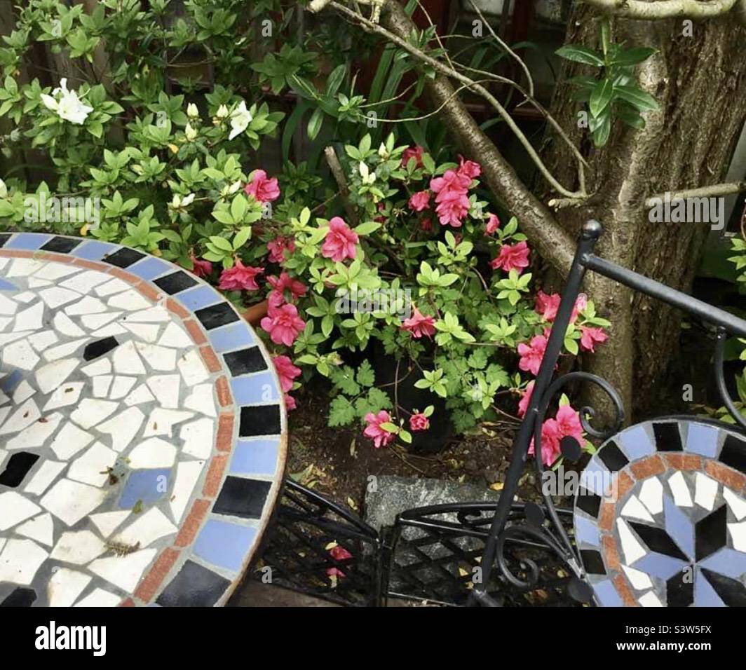Mosaic garden table and chair Stock Photo Alamy