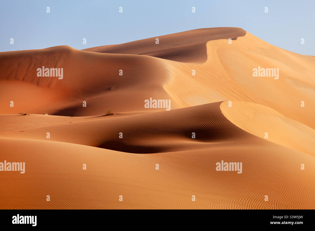 Majestic endless sand dunes in Abu Dhabi, natural landscape - Smartphone Captured Stock Image