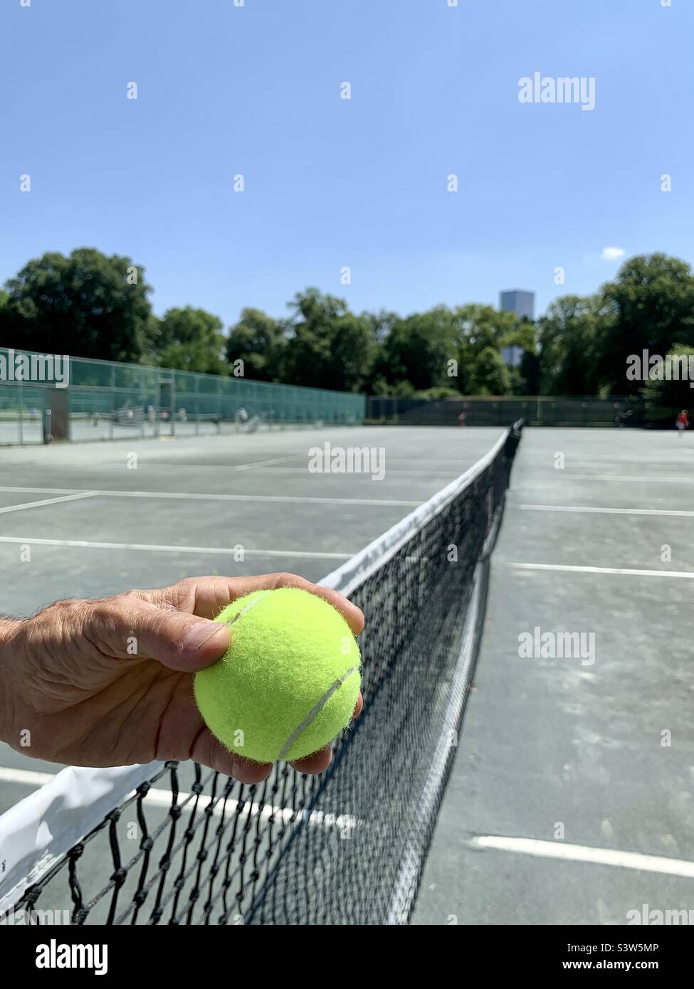 A person holding a tennis ball - Smartphone Captured Stock Image