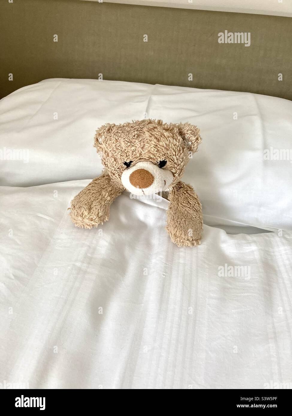 Taking teddy bear away on holiday - Smartphone Captured Stock Image