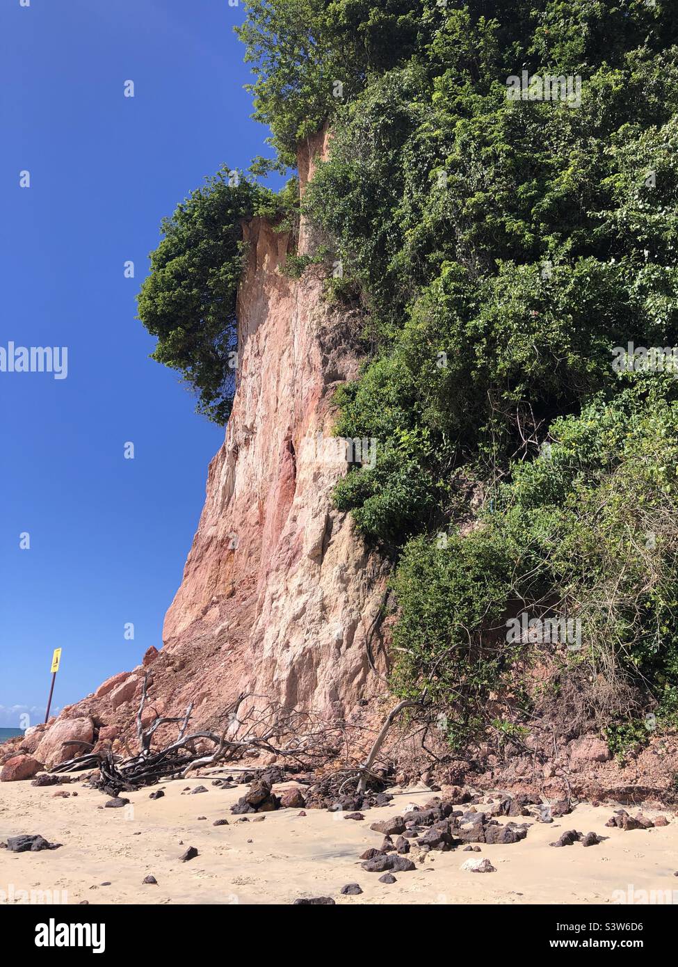 Nature’s contrast of colours. - Smartphone Captured Stock Image