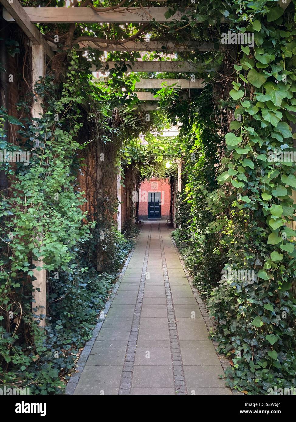A planted entrance Passage to a house in Copenhagen Stock Photo