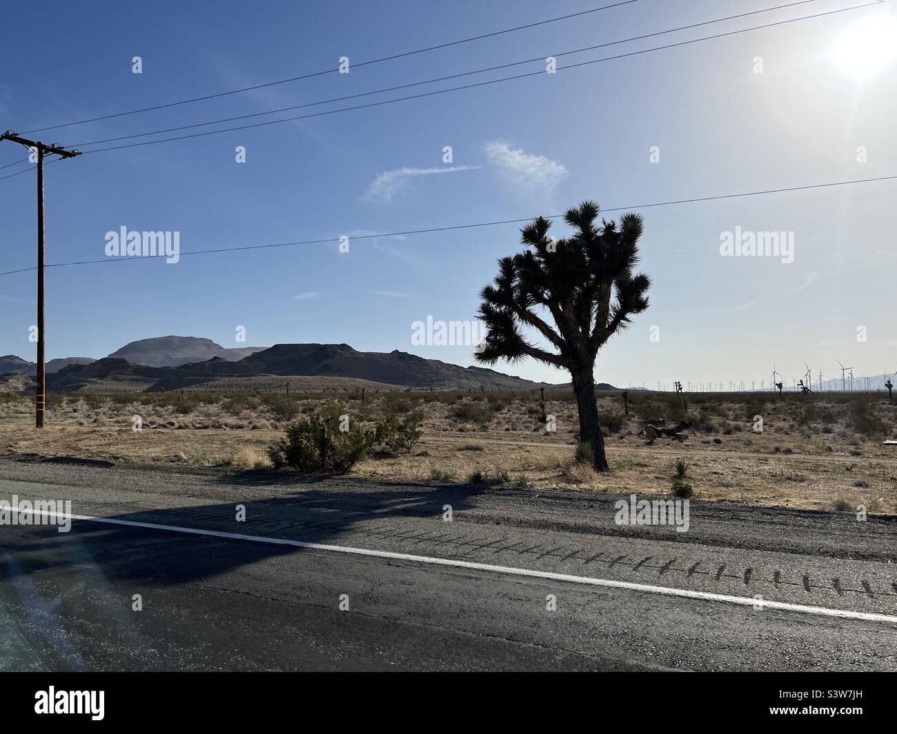 Silhouetted Joshua tree at the side of highway through the Mojave Desert, California, with mountains in distance and power lines near the road - Smartphone Captured Stock Image