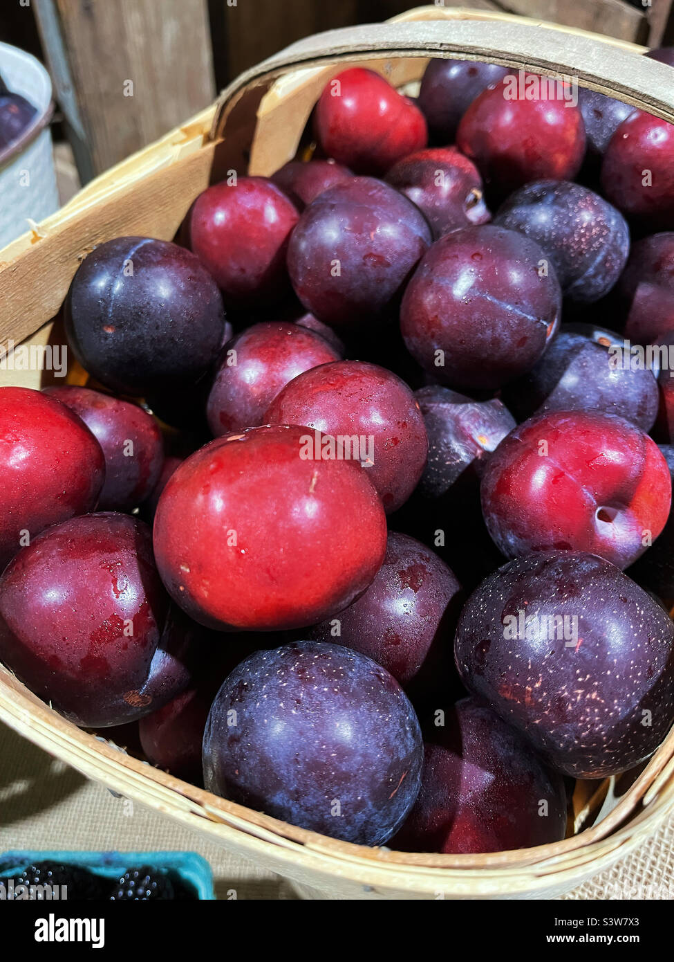 Purple Plums — Farm Fresh Fundraising