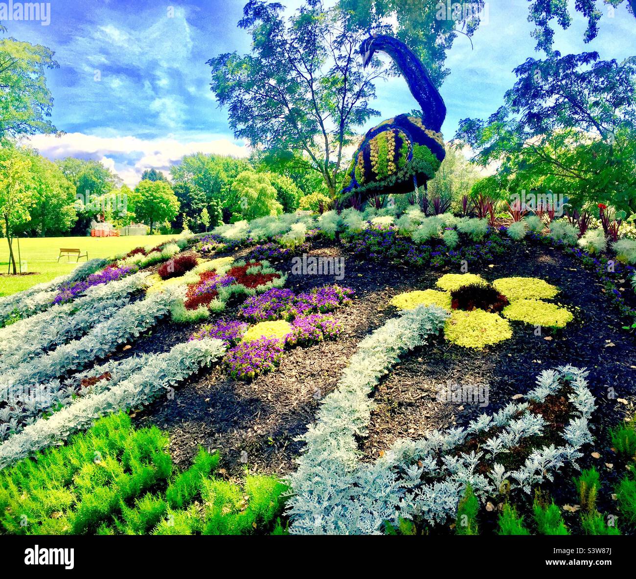 A male peacock in topiary, outdoors in a public park, Québec, Canada