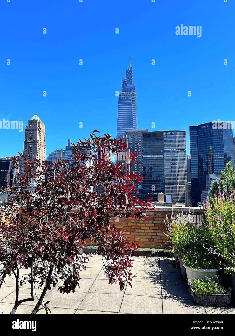 Midtown Manhattan skyscrapers as seen from a landscaped roof deck in Murray Hill, 2022, New York City, United States Stock Photo