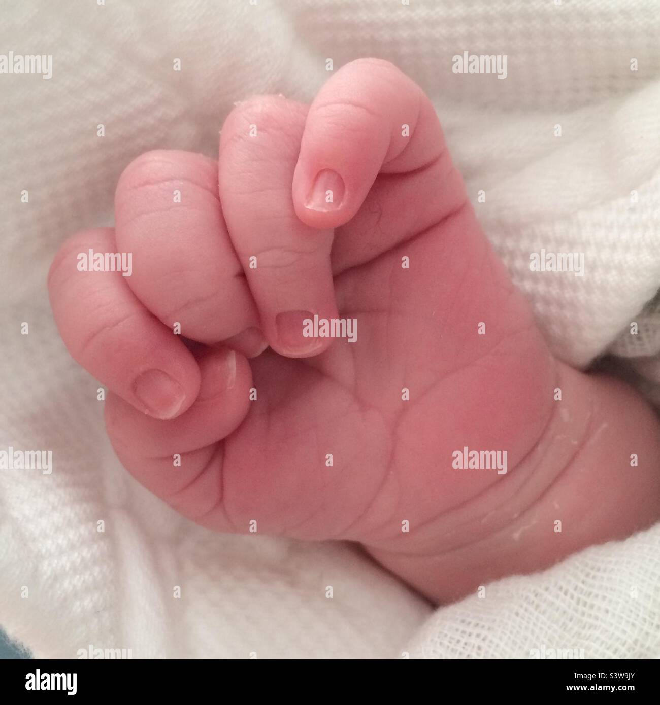 Newborn Baby Hand Close Up Stock Photo Alamy newborn-baby-hand-close-up-stock-photo-alamy