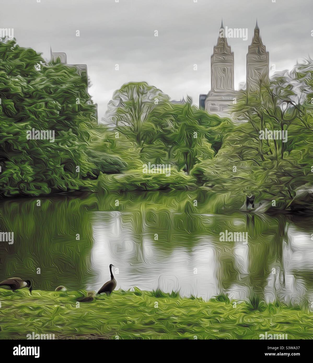 Central Park birds Stock Photo Alamy