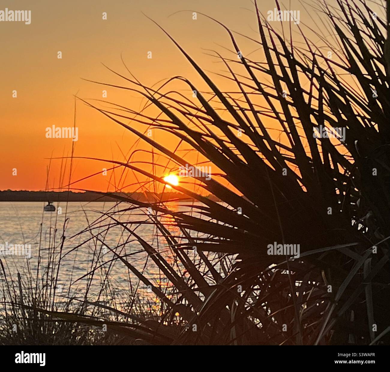 Sunset in Dunedin Stock Photo Alamy