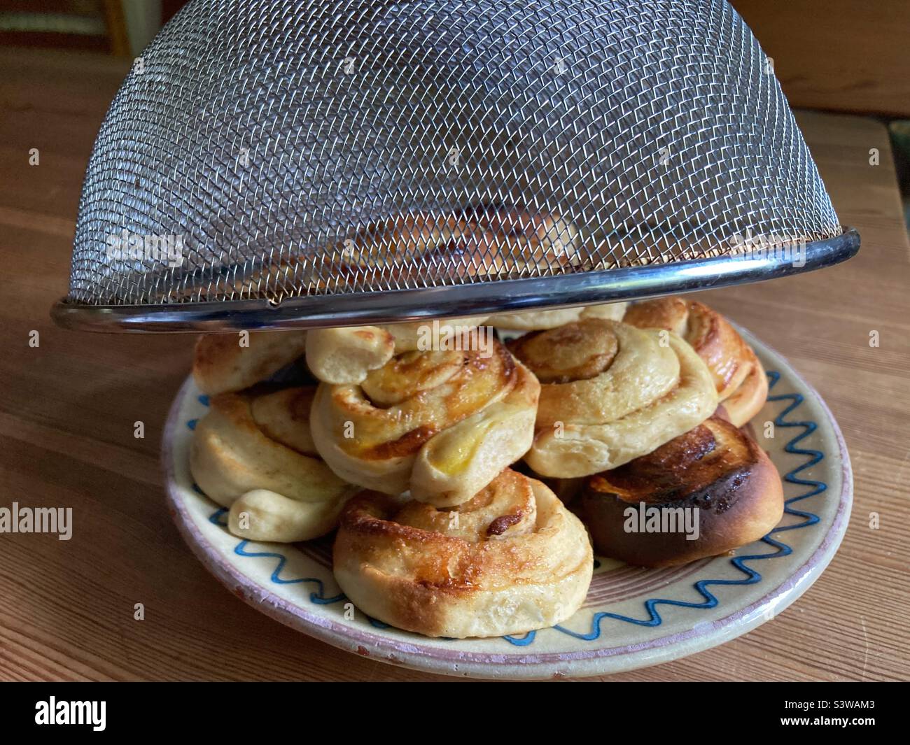 Home Made cinnamon Buns under a food Cover Stock Photo