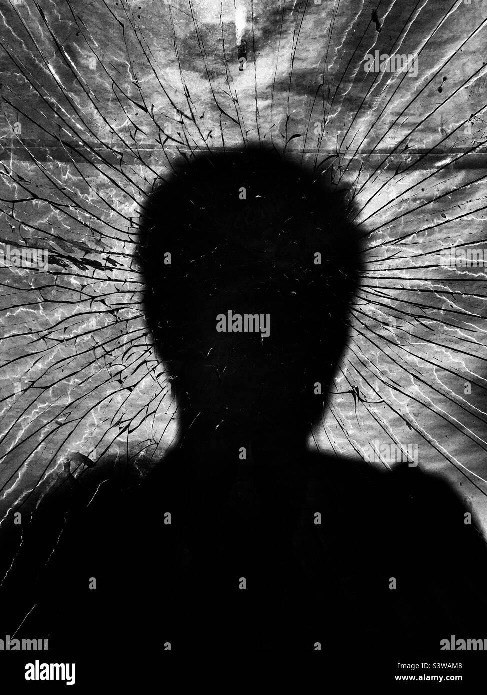 Silhouette of a person against shattered glass Stock Photo