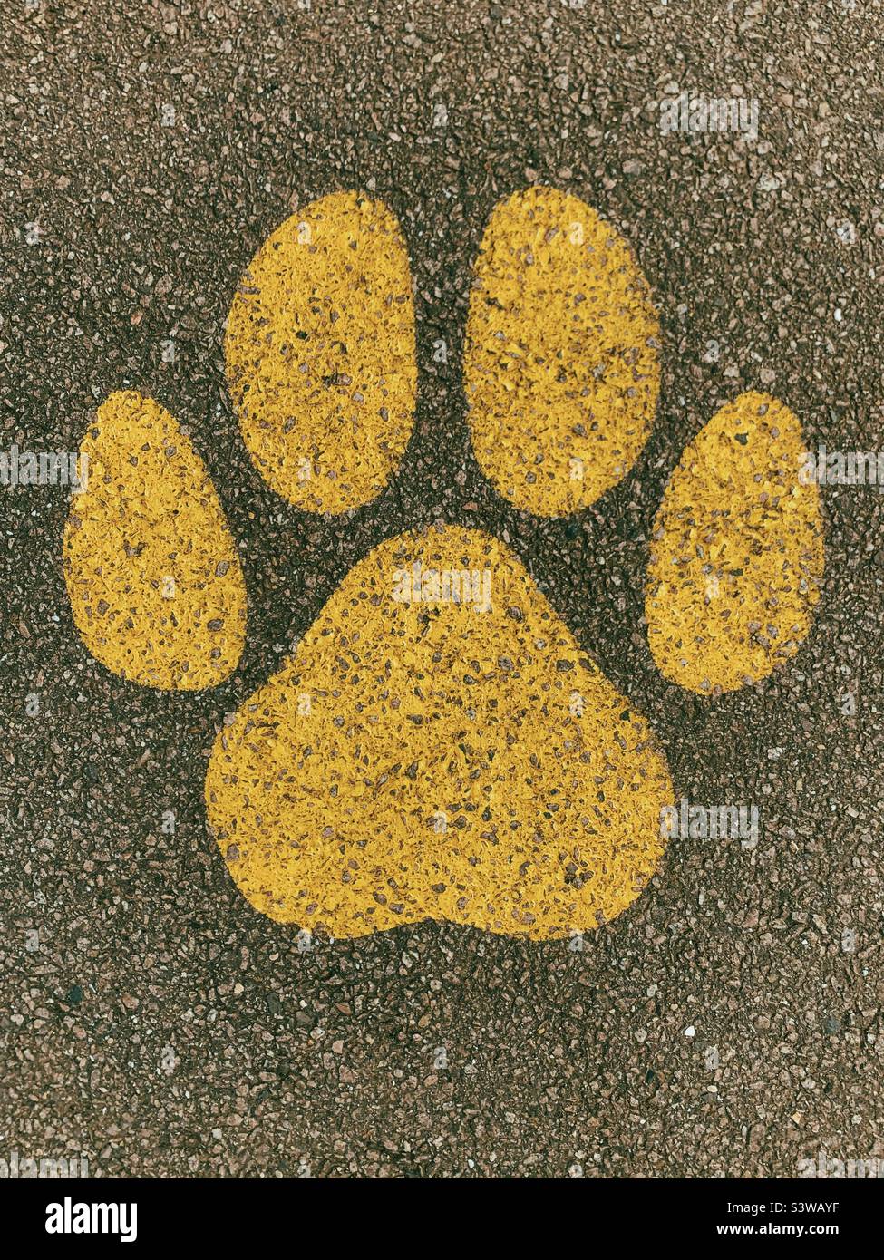 Animal footprint on the ground.  Wildlife trek.  Nature and conservation.  Children friendly play. Stock Photo