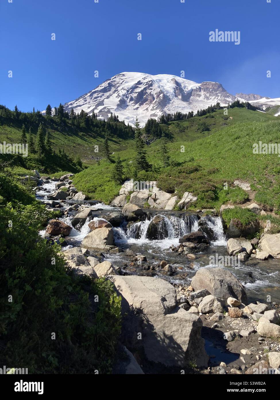 Mount Rainier Washington State US Stock Photo
