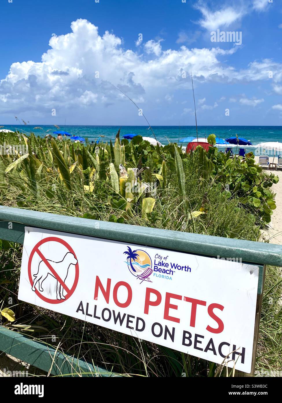 No pets allowed sign at Lake Worth Beach, Florida. Stock Photo