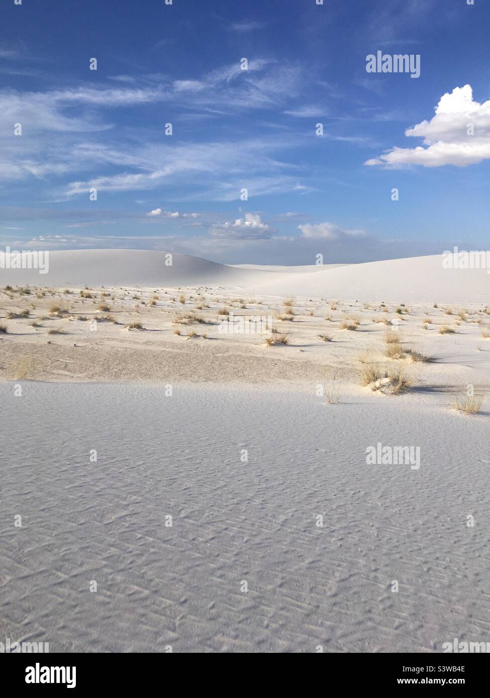 White Sands National Park Alamogordo New Mexico Stock Photo Alamy