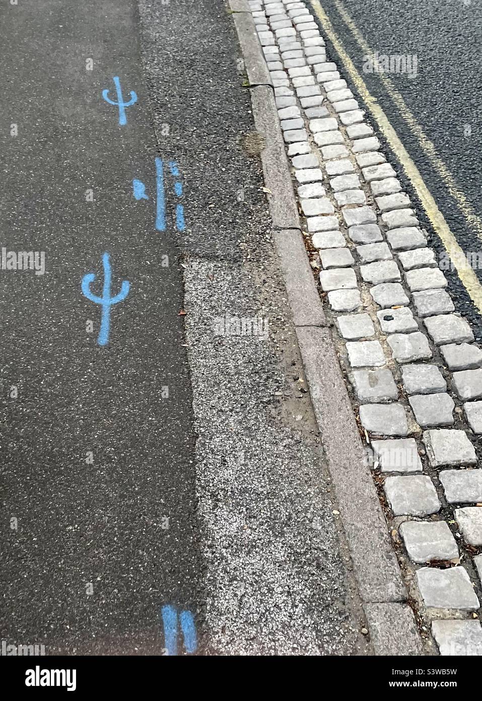 Pavement Language. Blue spray paint, indicator of impending work Stock