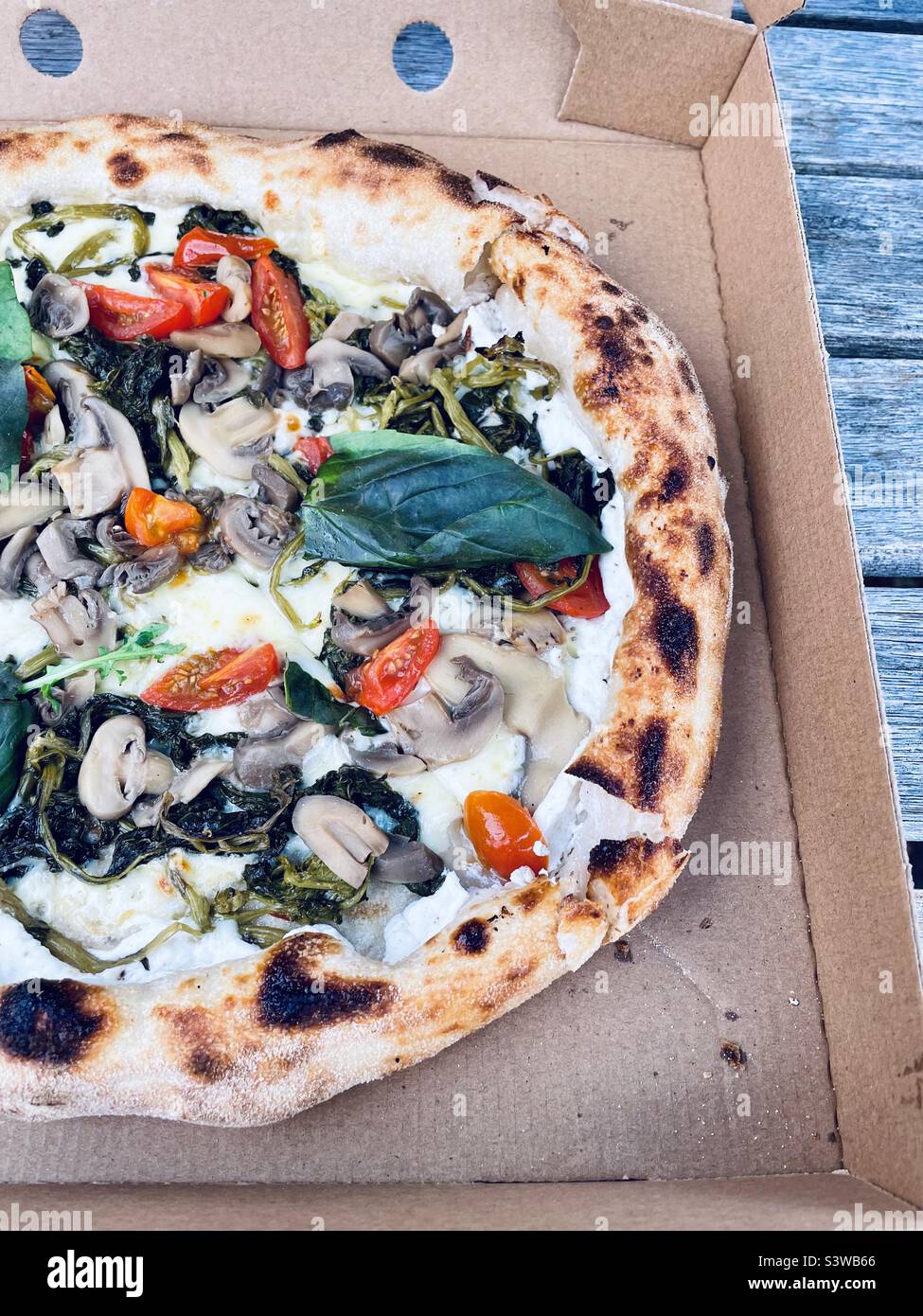 Traditional Italian pizza in a box. Wild broccoli and mushroom, tomato and basil with ricotta stuffed crust. Stock Photo