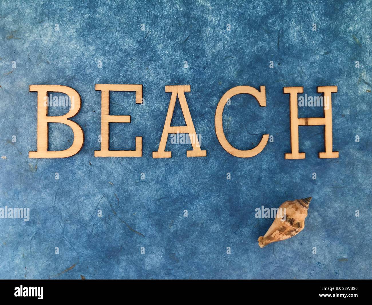 “BEACH” wooden letters with shell on blue black ground Stock Photo - Alamy