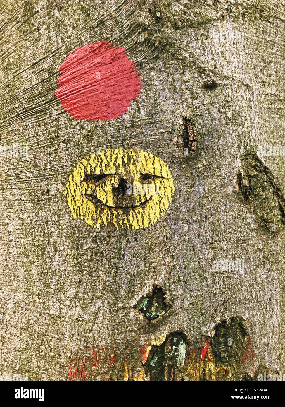 A yellow dot on a tree with mouth, eyes and a nose carved in it, resembling a grotesque smiley Emoji, a red dot indicating a hiking trail above it Stock Photo