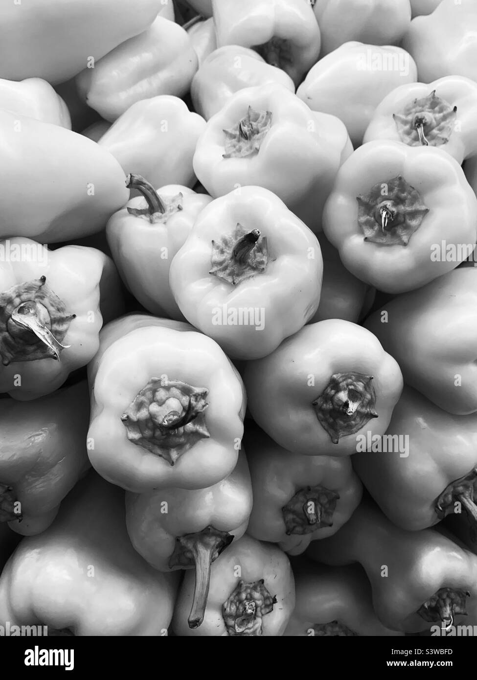 Many bell peppers in black and white. Stock Photo