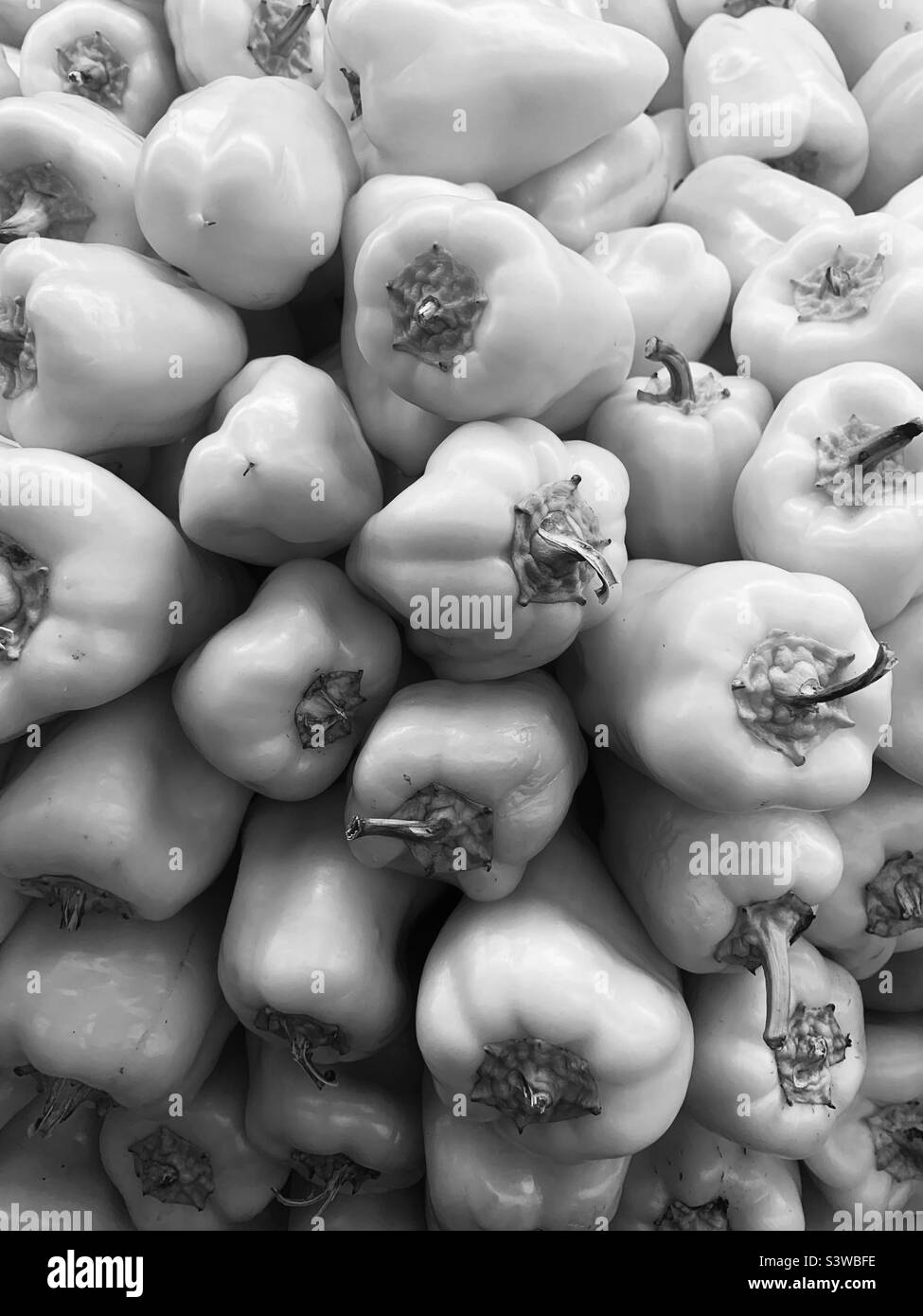 Pile of fresh bell peppers in black and white. Stock Photo