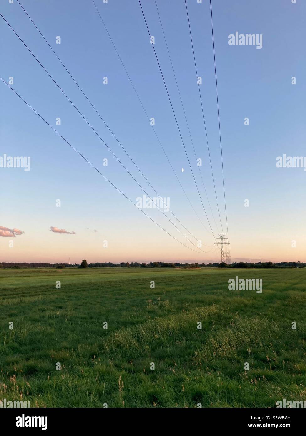 High-tension Power lines over a meadow und northern Germany at Dawn Stock Photo
