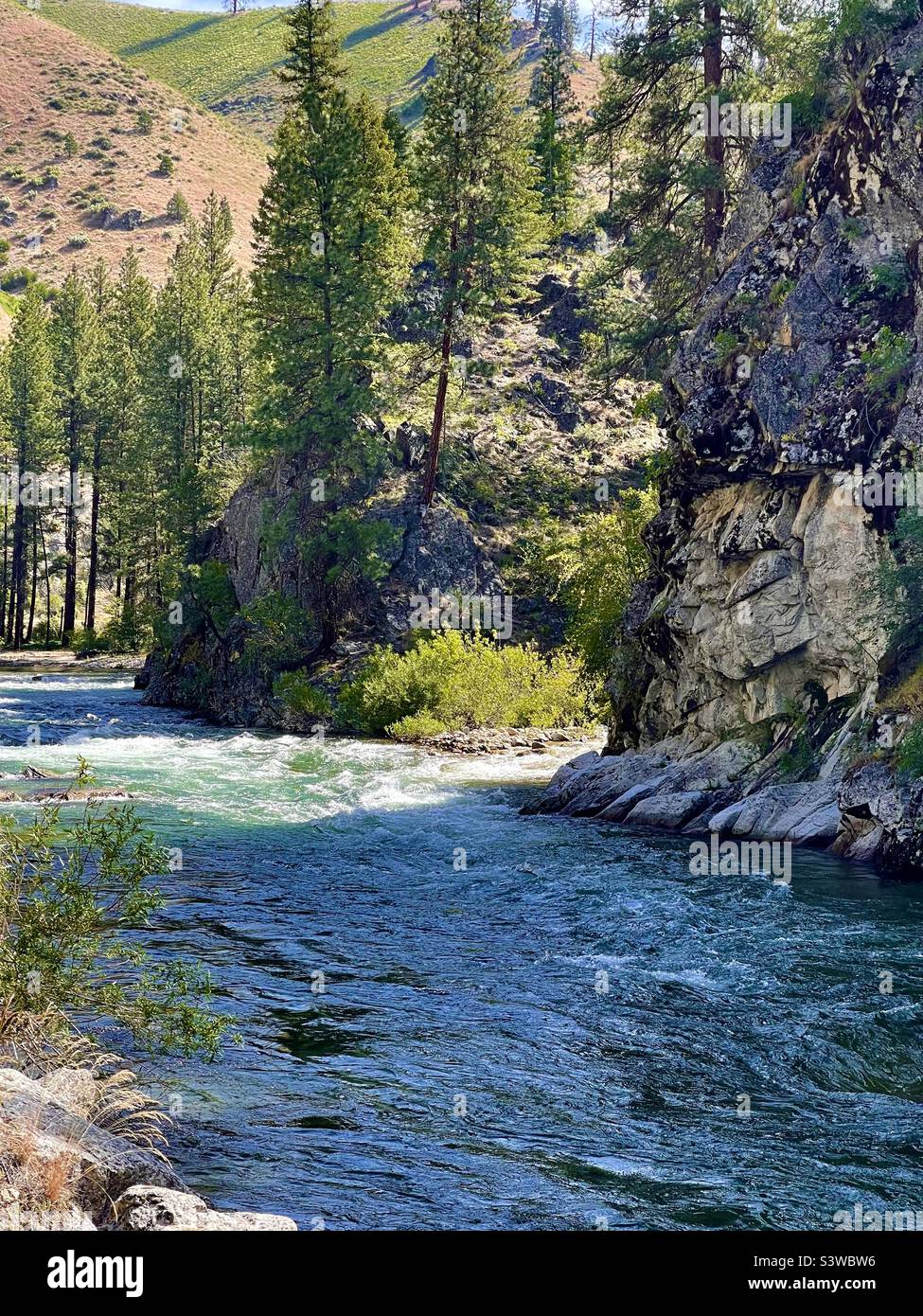 North fork of Boise river Stock Photo Alamy