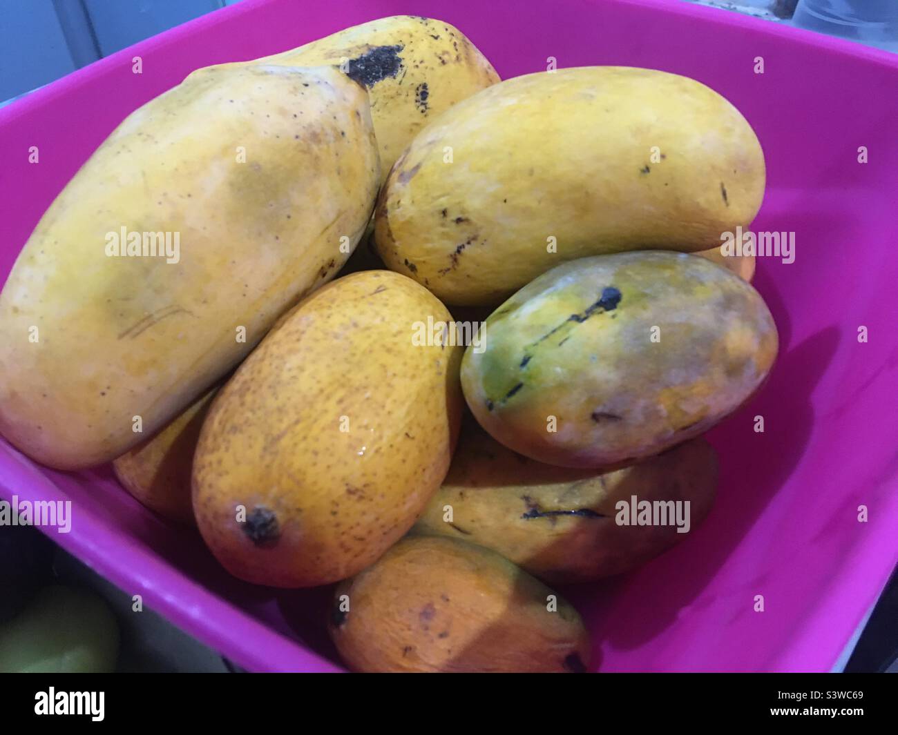 Locally Harvested Pakistani Mangoes in Karachi. The best mangoes in the