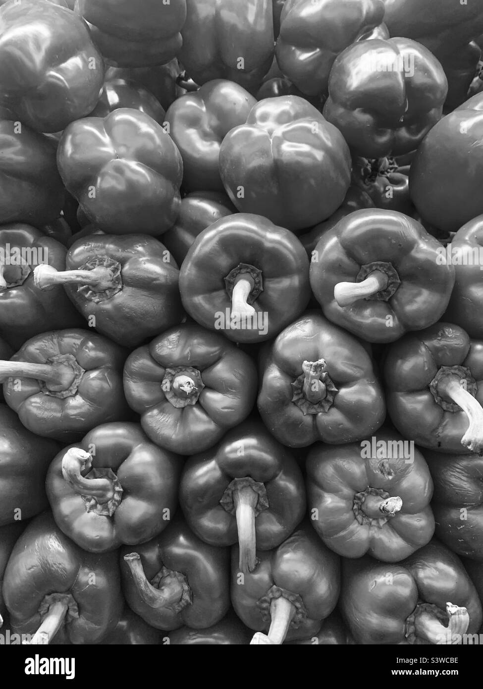 Beautiful fresh bell peppers piled high in the produce section in black and white. Stock Photo