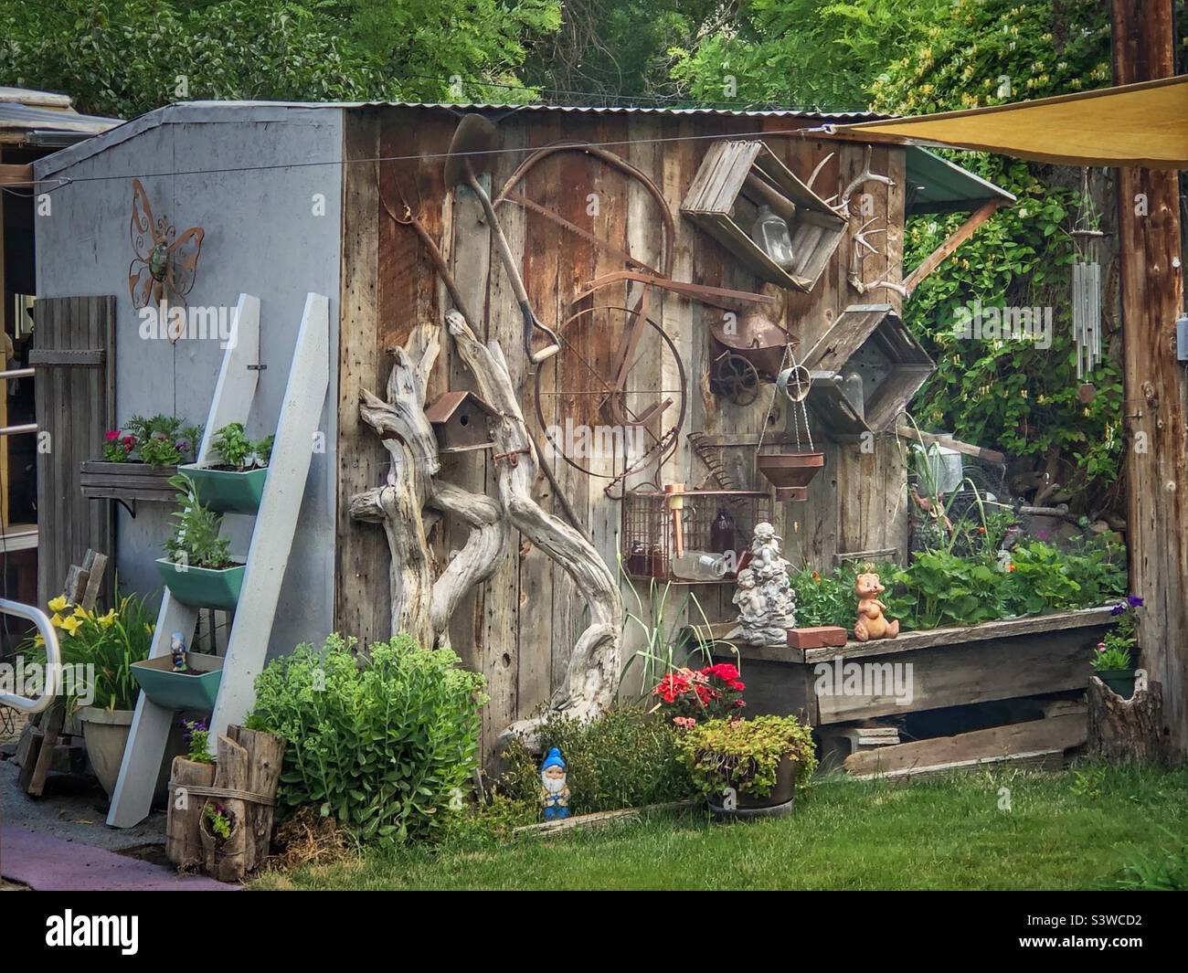 Vintage metal tools, wheels, wooden boxes, and driftwood are artistically arranged on the side of a shed Stock Photo