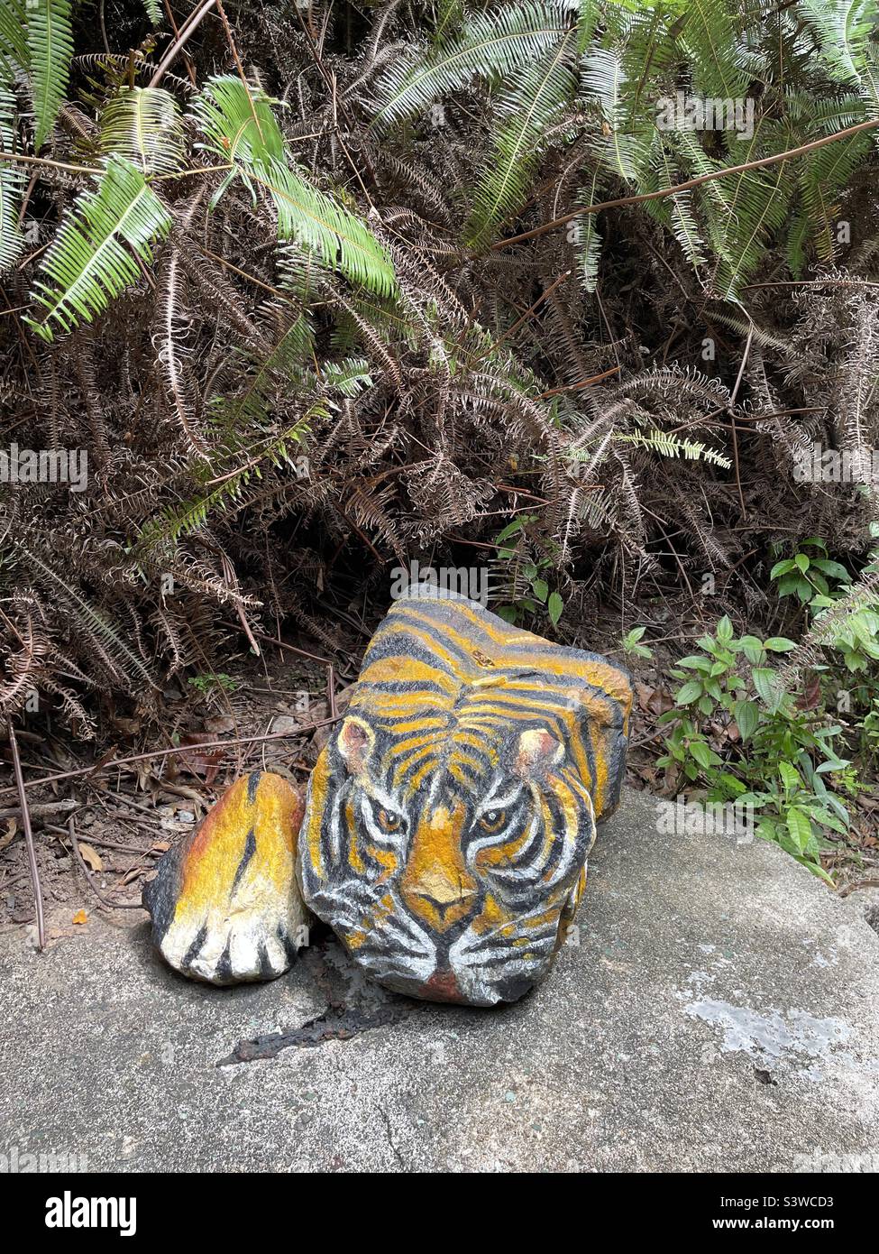 Tiger painted rock Stock Photo