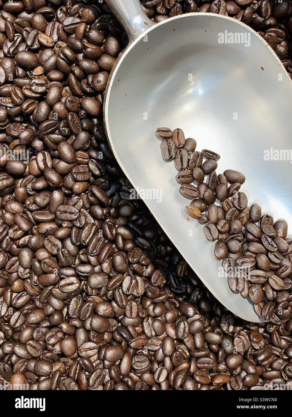 Coffee beans - Smartphone Captured Stock Image