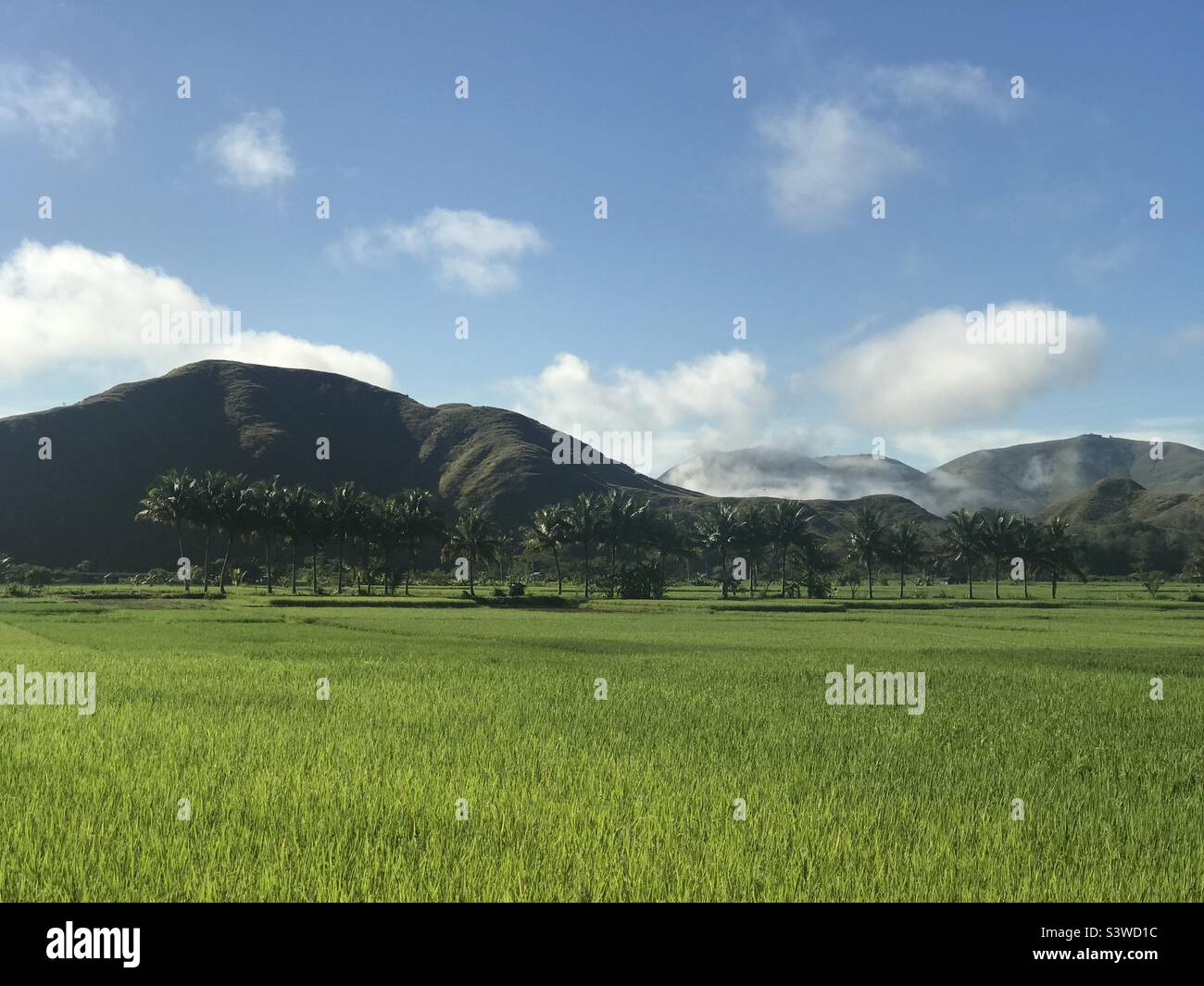 A very relaxing view from Barangay Barat, Bambang, Province of Nueva Vizcaya, Philippines Stock Photo