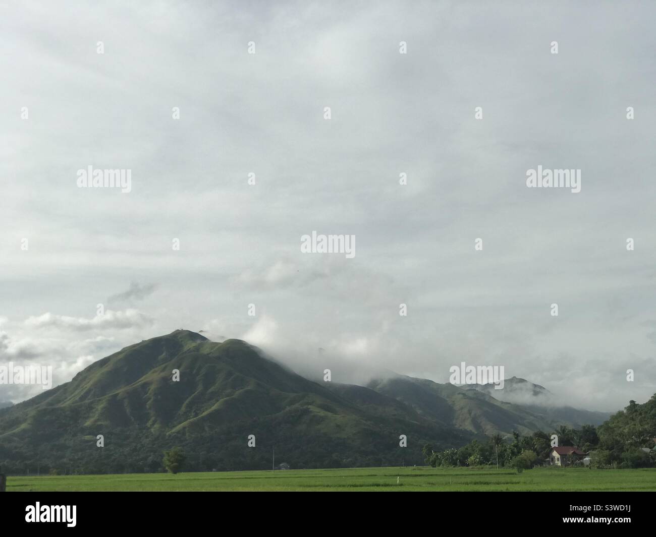 A part of sierra madre mountain Stock Photo Alamy