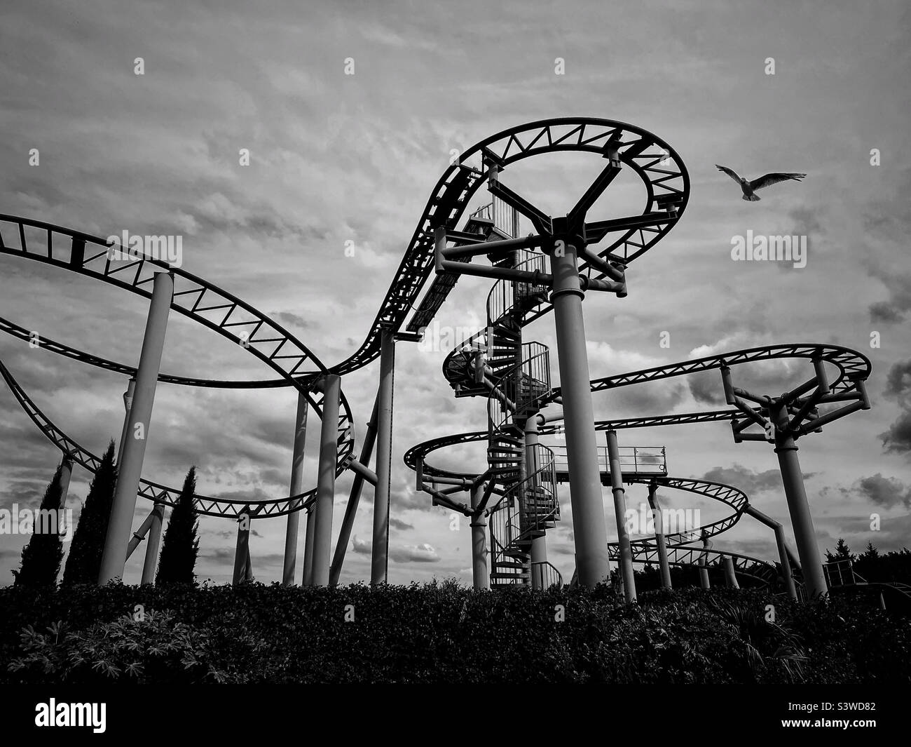 A lone seagull flys past the metal infrastructure of a roller coaster ride. There’s modify riding the course. Is it closed? Abandoned? Or a break between riders? Photo ©️ COLIN HOSKINS. Stock Photo