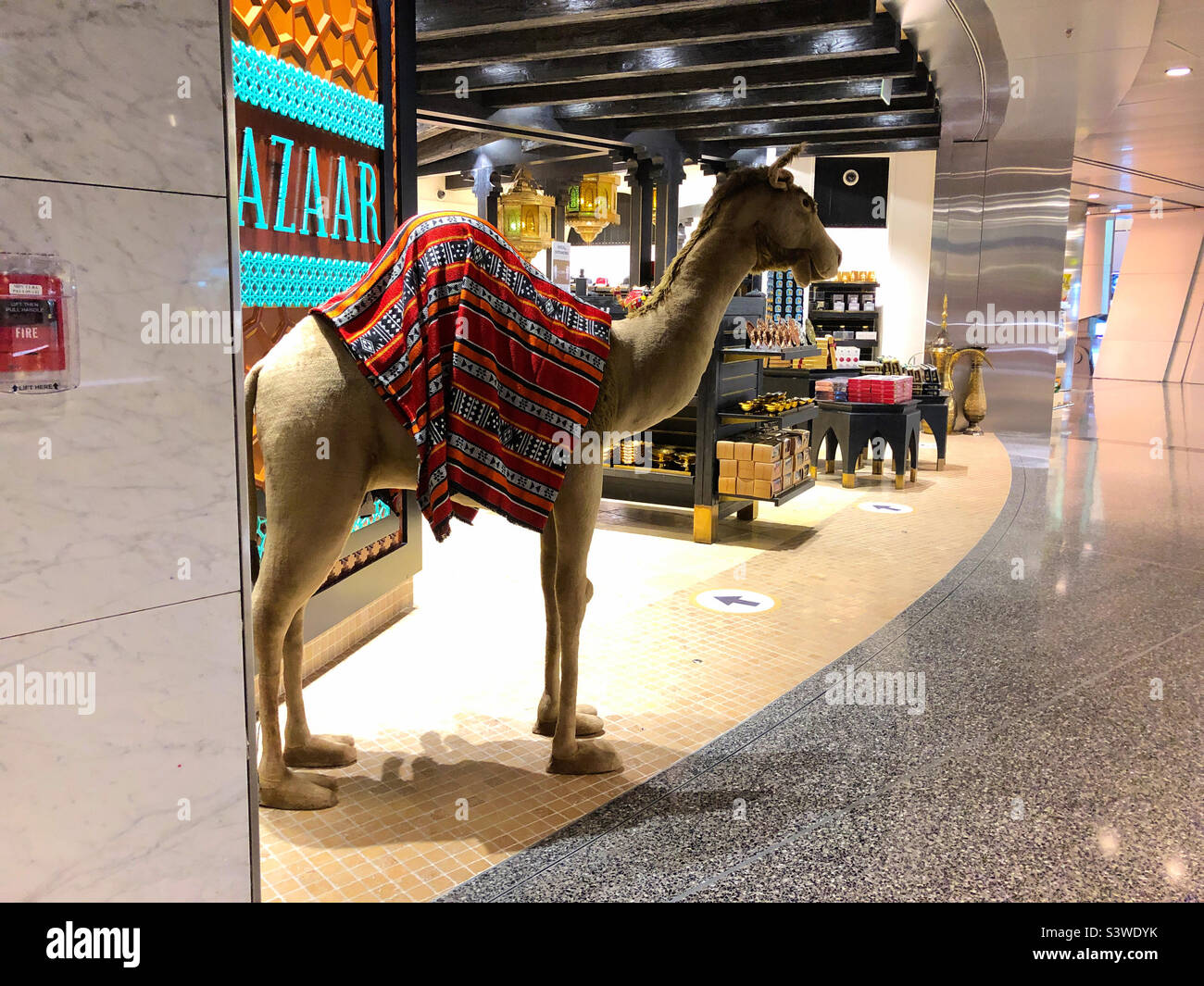 A camel stands guard outside a Middle Eastern bazaar at Hamad International Airport, Doha, Qatar Stock Photo