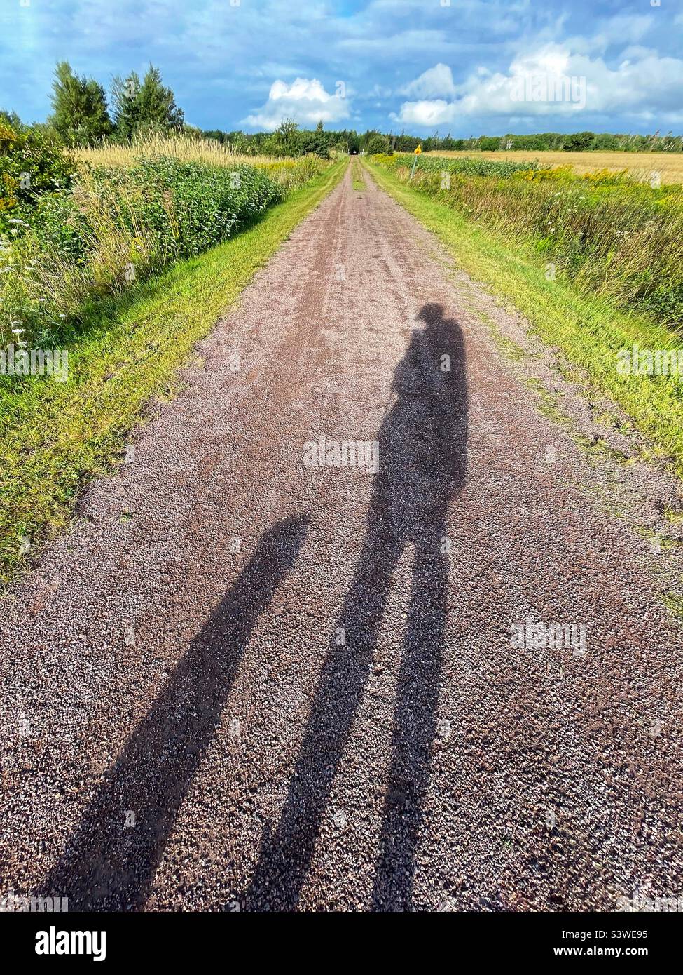 Woman with her dog on the trail. - Smartphone Captured Stock Image