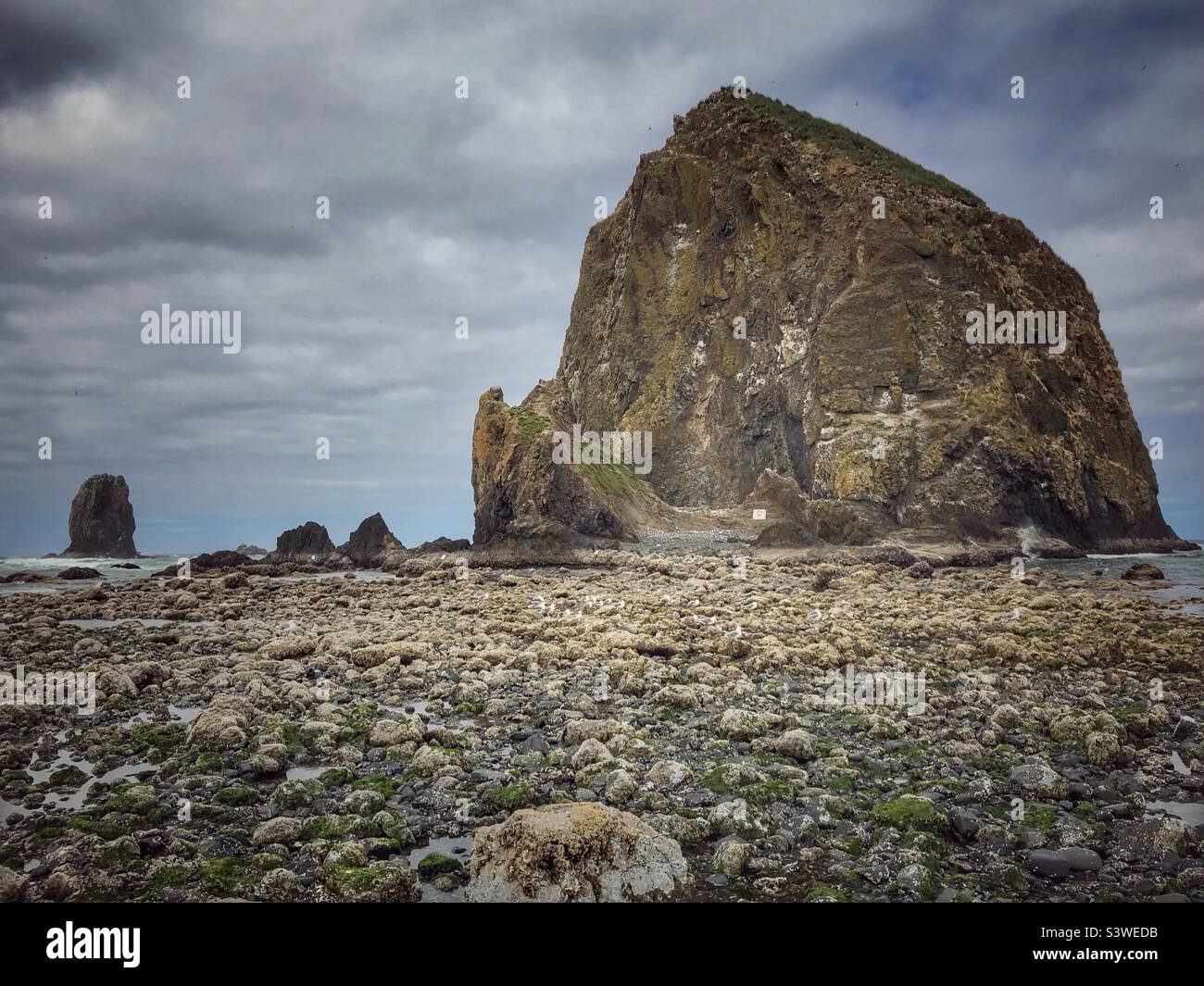 Haystack Rock at Cannon Beach, Oregon Stock Photo