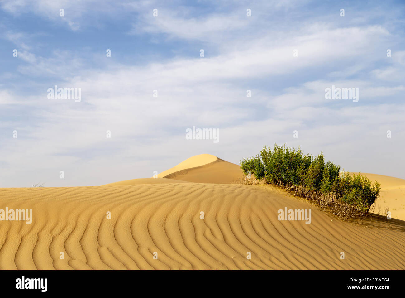 Enchanting desert landscape in summer Stock Photo