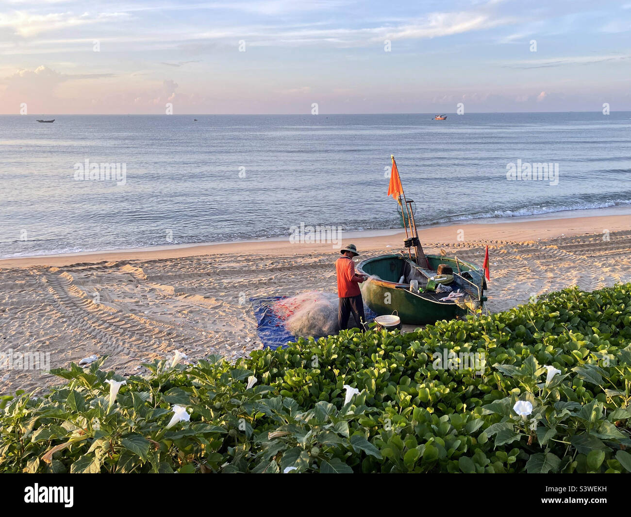 remove the net - Smartphone Captured Stock Image