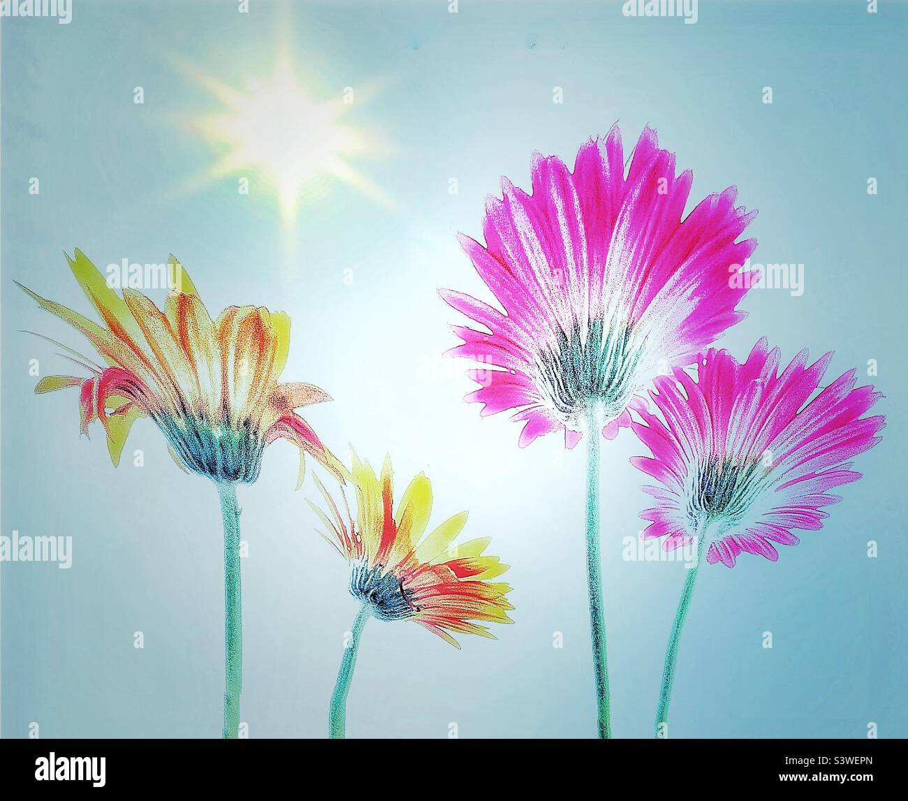 Summer garden - Smartphone Captured Stock Image